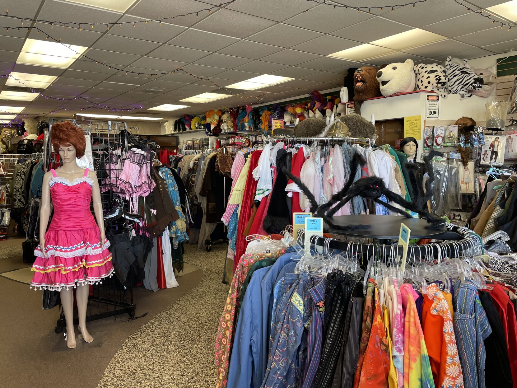 5 thrift stores and shops in Tucson for DIY Halloween costumes