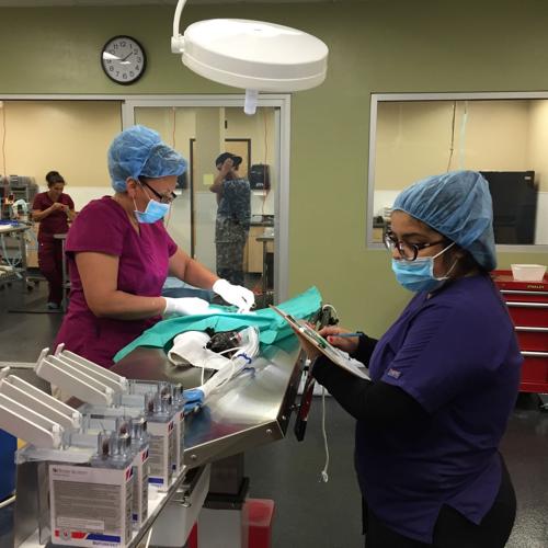 Spay and neuter clinic