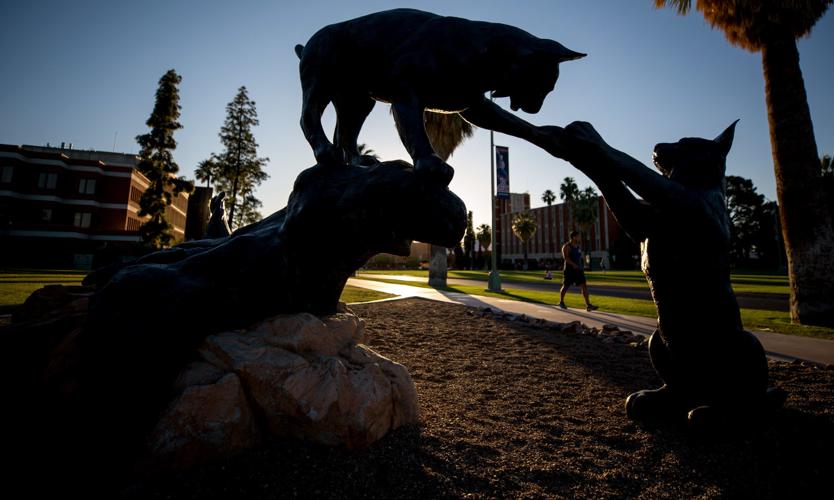 University of Arizona art walk: Wildcats