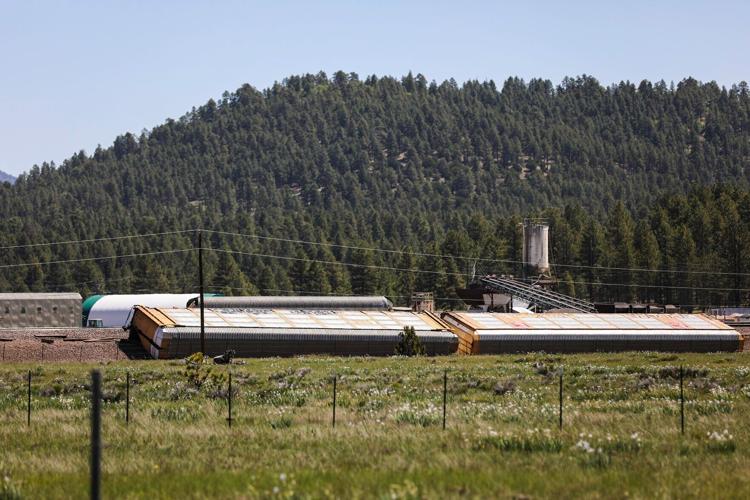 Train De-Rails Near Williams