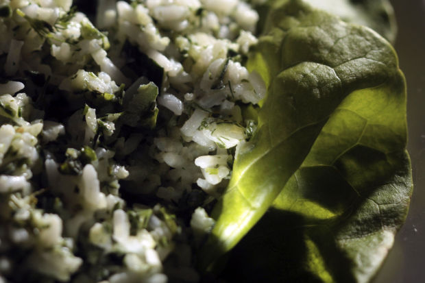 The unappreciated glories of rice salad