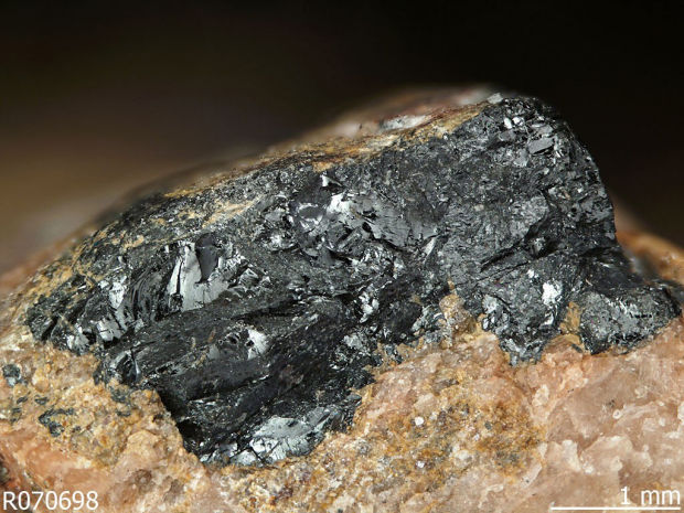 Arizona is new frontier in search for vital 'rare earth' elements    
