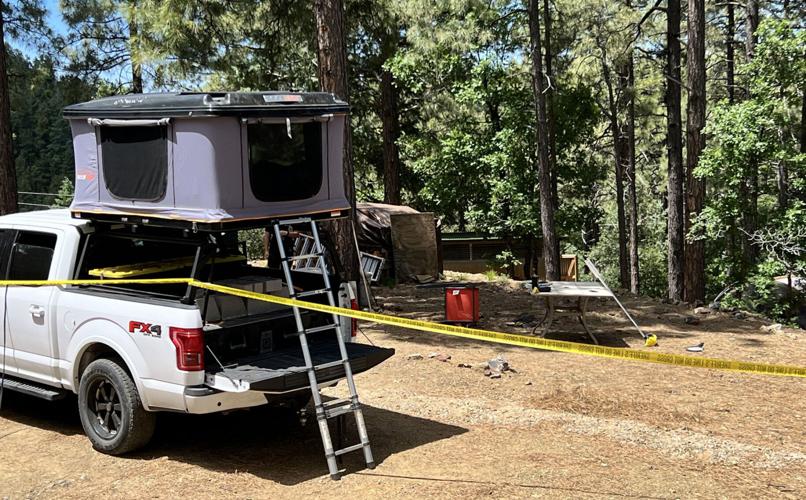 Tim Steller's column: Bear attack was one good Tucson man's very bad luck