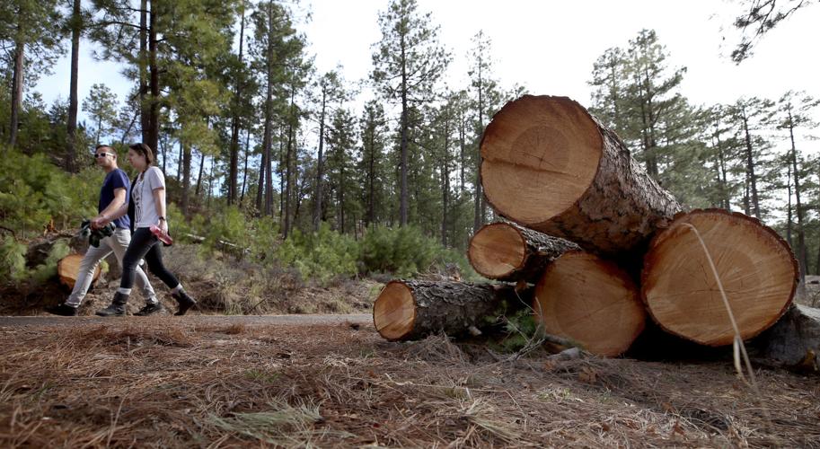 Downed trees