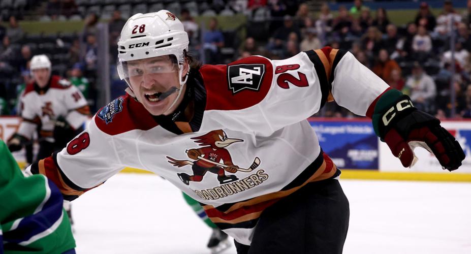 Roadrunners vs Abbotsford, AHL