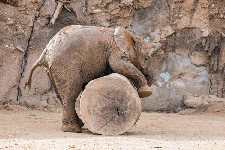 Saturday, August 20 — Party with Nandi on her birthday