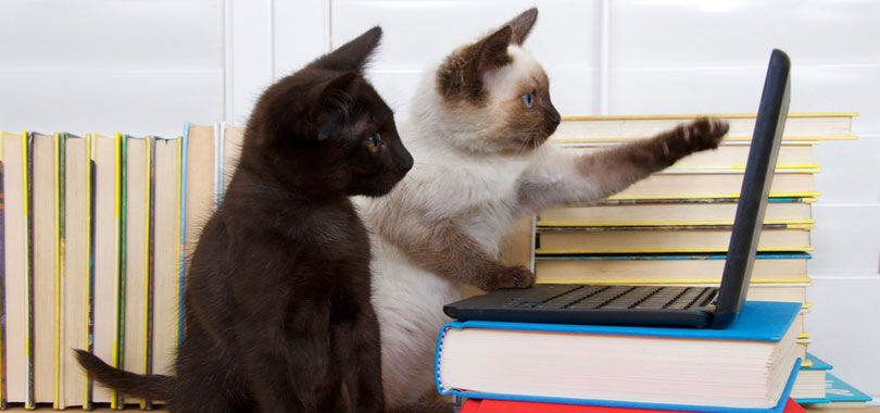 How to Write a Letter Asking for a Raise (With Samples)