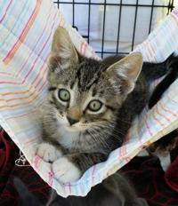 CataVinos Wine Shoppe closing in August