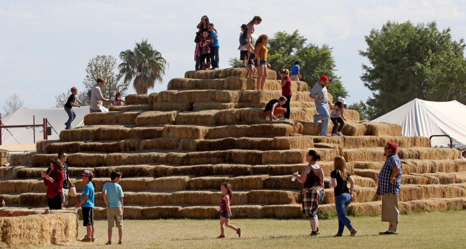 Marana Pumpkin Patch and Farm Festival