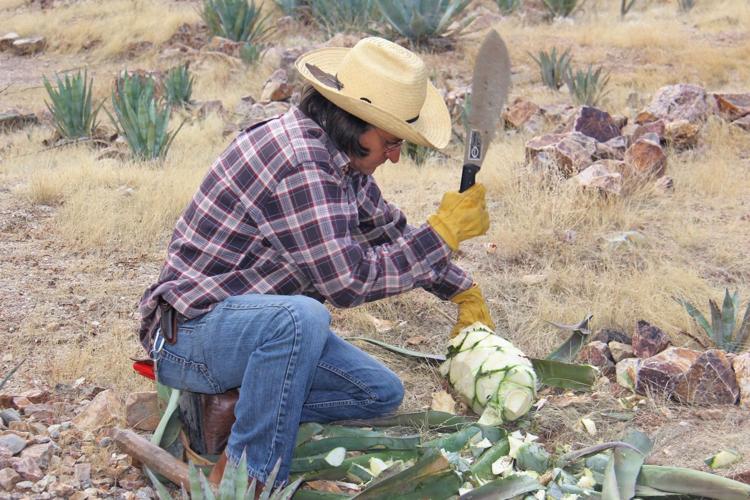 Agave Roasting and Tasting