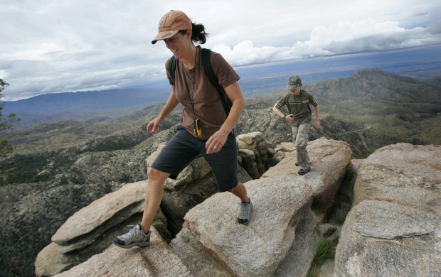 Mt. Lemmon: A busy mountain