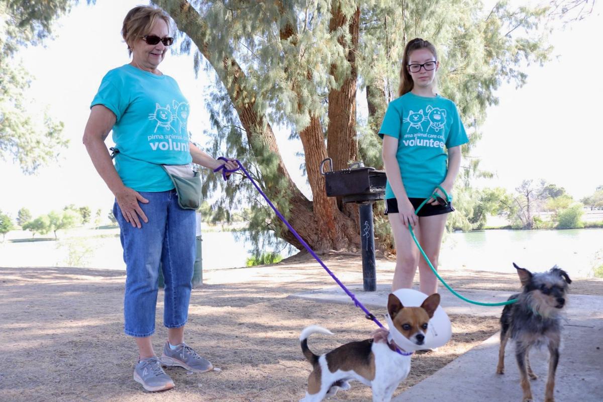 Dog walkers