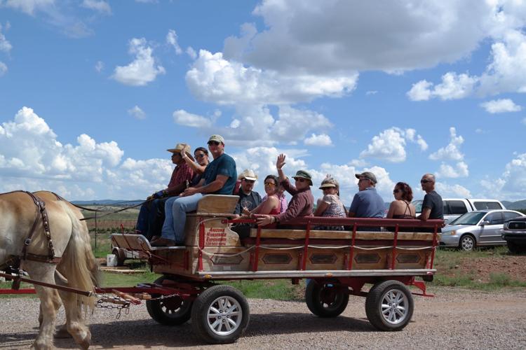 Ride in the vineyards