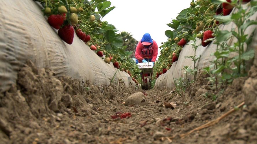 Arizona International Film Festival, 2022