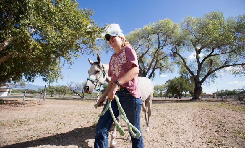 U of A to sell prime land on Sabino Creek donated by famed horse breeder