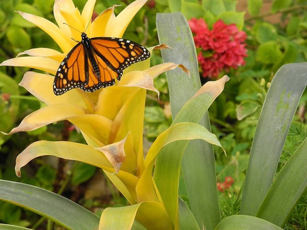 Ring's reflections: Photo skills soar with pro's help    