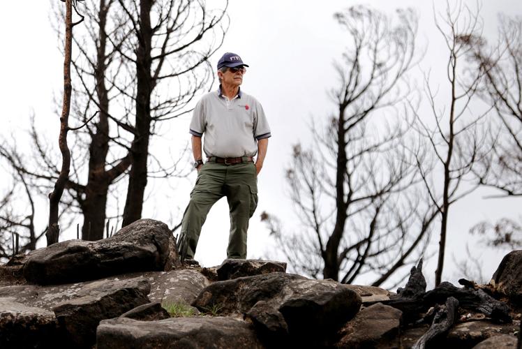 Frye Fire recovery on Mt. Graham