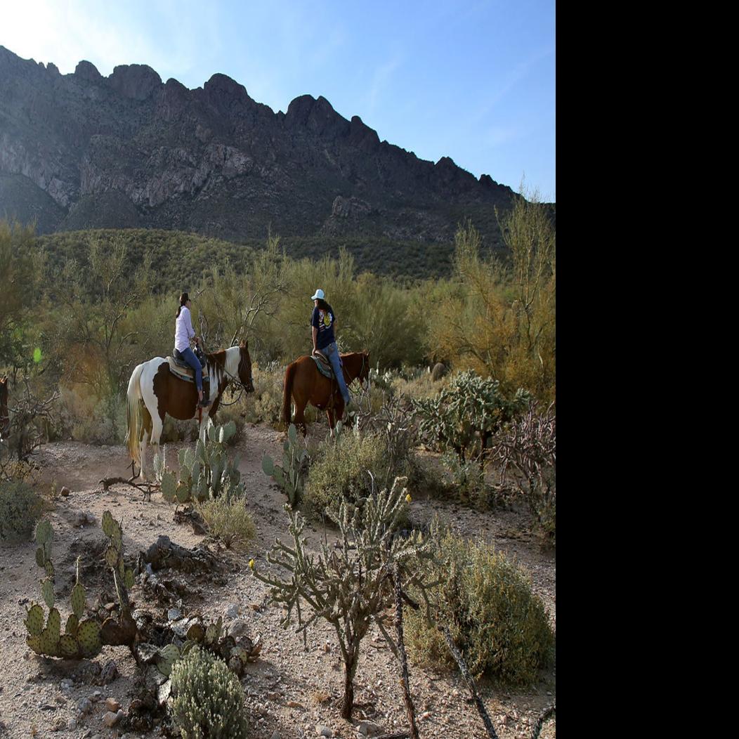 Fee Increases Coming To The Coronado National Forest Local News Tucson Com