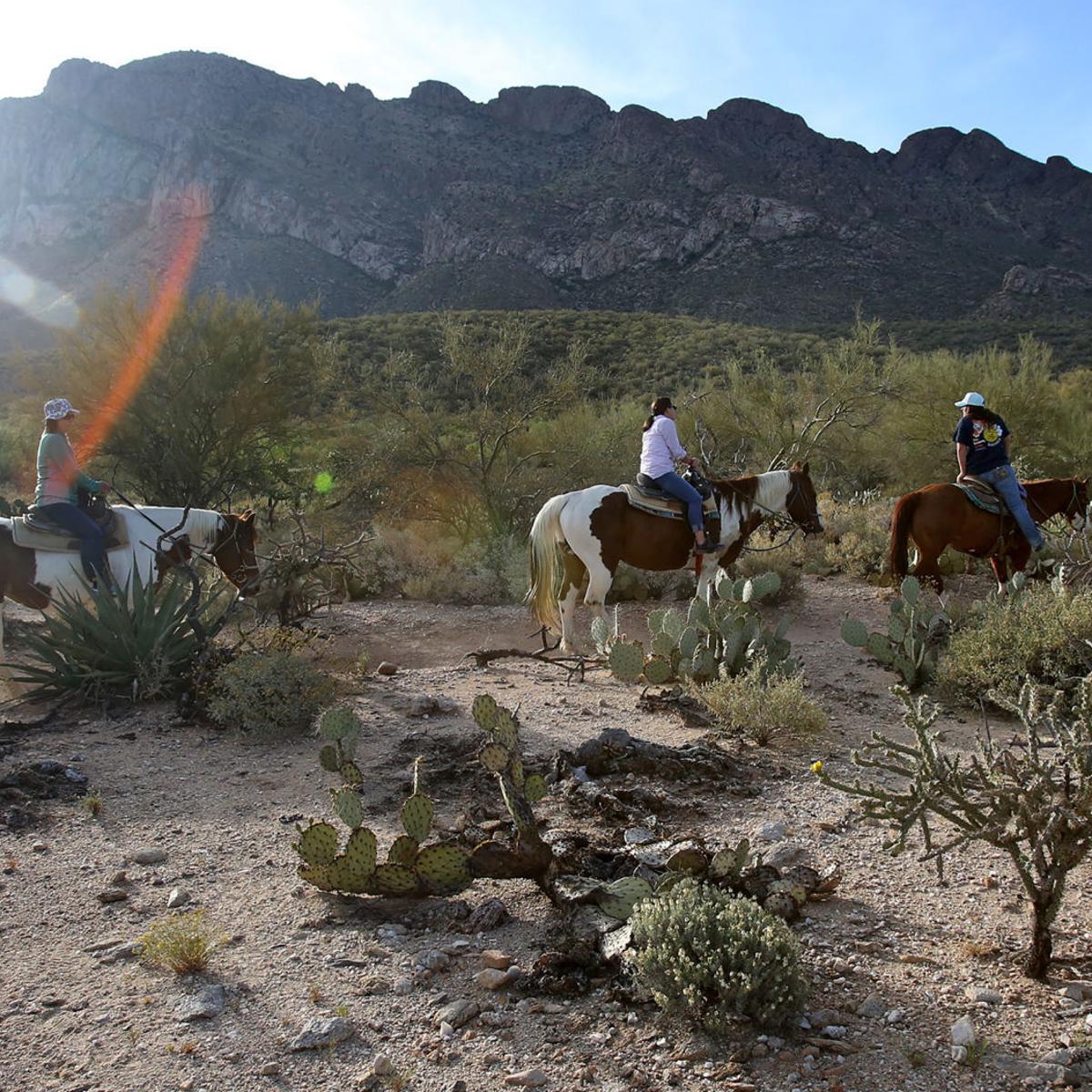 Fee Increases Coming To The Coronado National Forest Local News Tucson Com Fee Increases Coming To The Coronado National Forest Local News Tucson Com