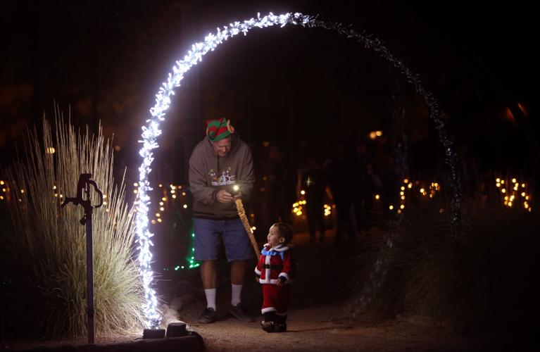 20+ Zoo Lights At Reid Park Tucson