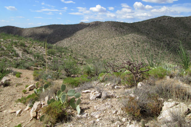 Tortolita Mountains
