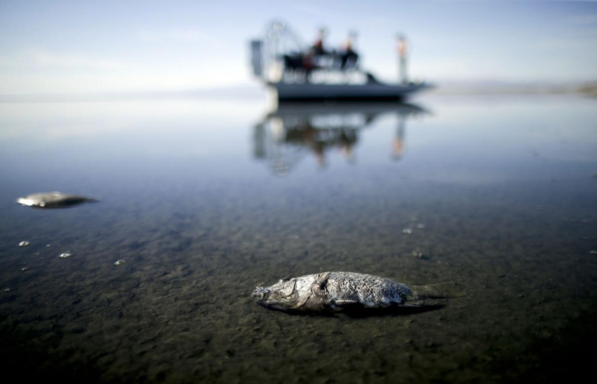 Sen. Kelly slams California on Colorado River use