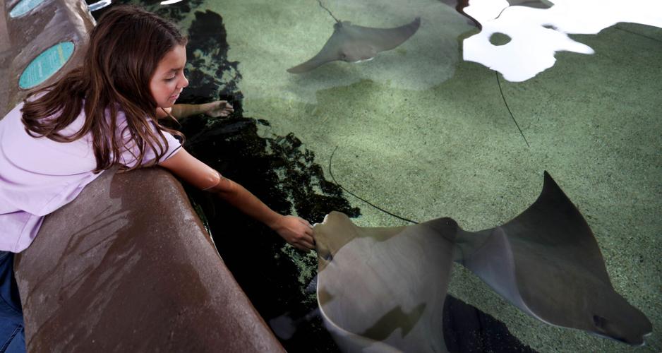 Arizona-Sonora Desert Museum