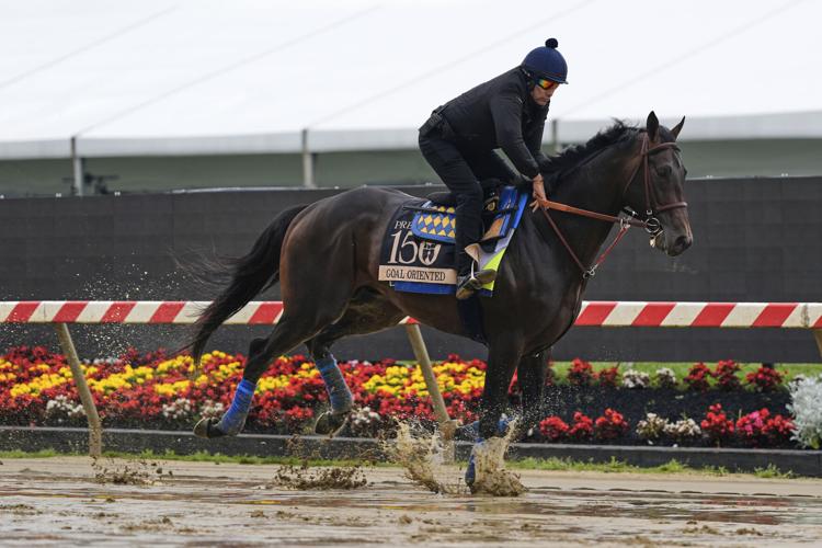 Preakness Horse Racing