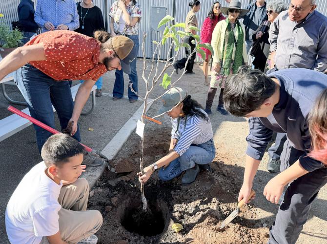 Tucson's new Sprouts House to spring to life in January