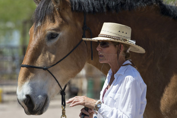 Equine Fundraiser