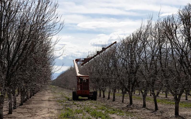 Southeast Arizona farmers renew push for groundwater protections