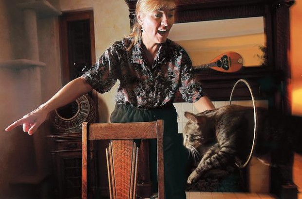 Training your cats?  
