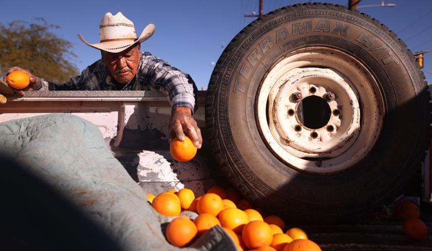 Tim Steller's column: Tucsonans rally around victimized vendors