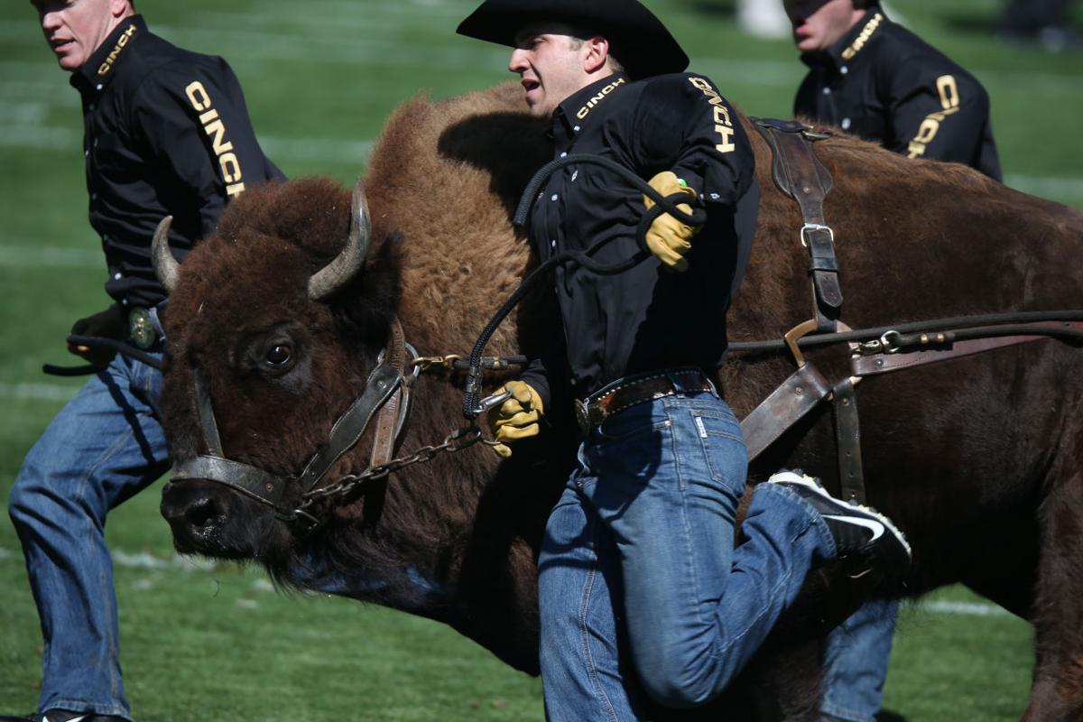 Hawaii Colorado Football