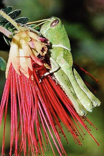 'Anywhere I go, I bring my camera'  