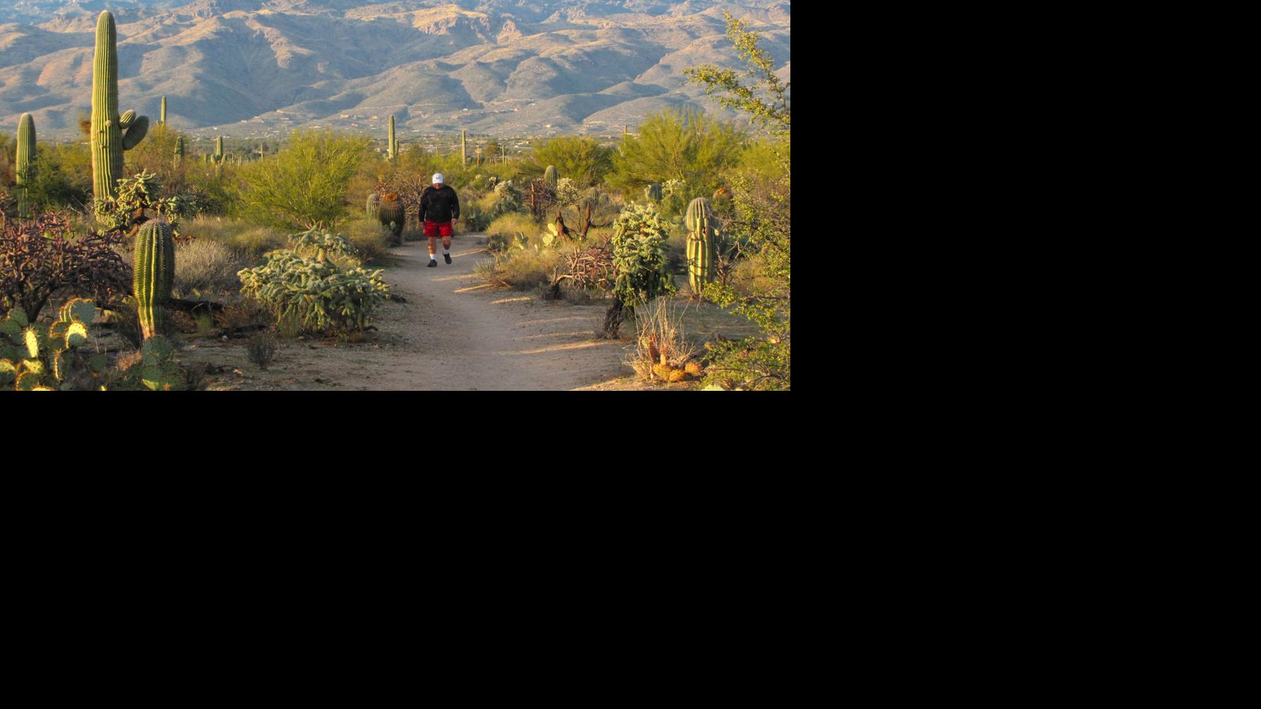 Tucson weather Above normal temperatures returning this weekend