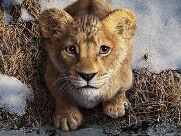 Mufasa: The Lion King