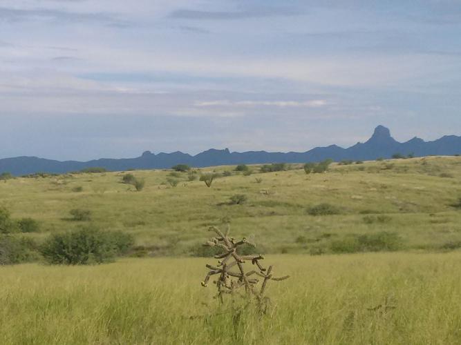 Grasslands of Buenos Aires Refuge