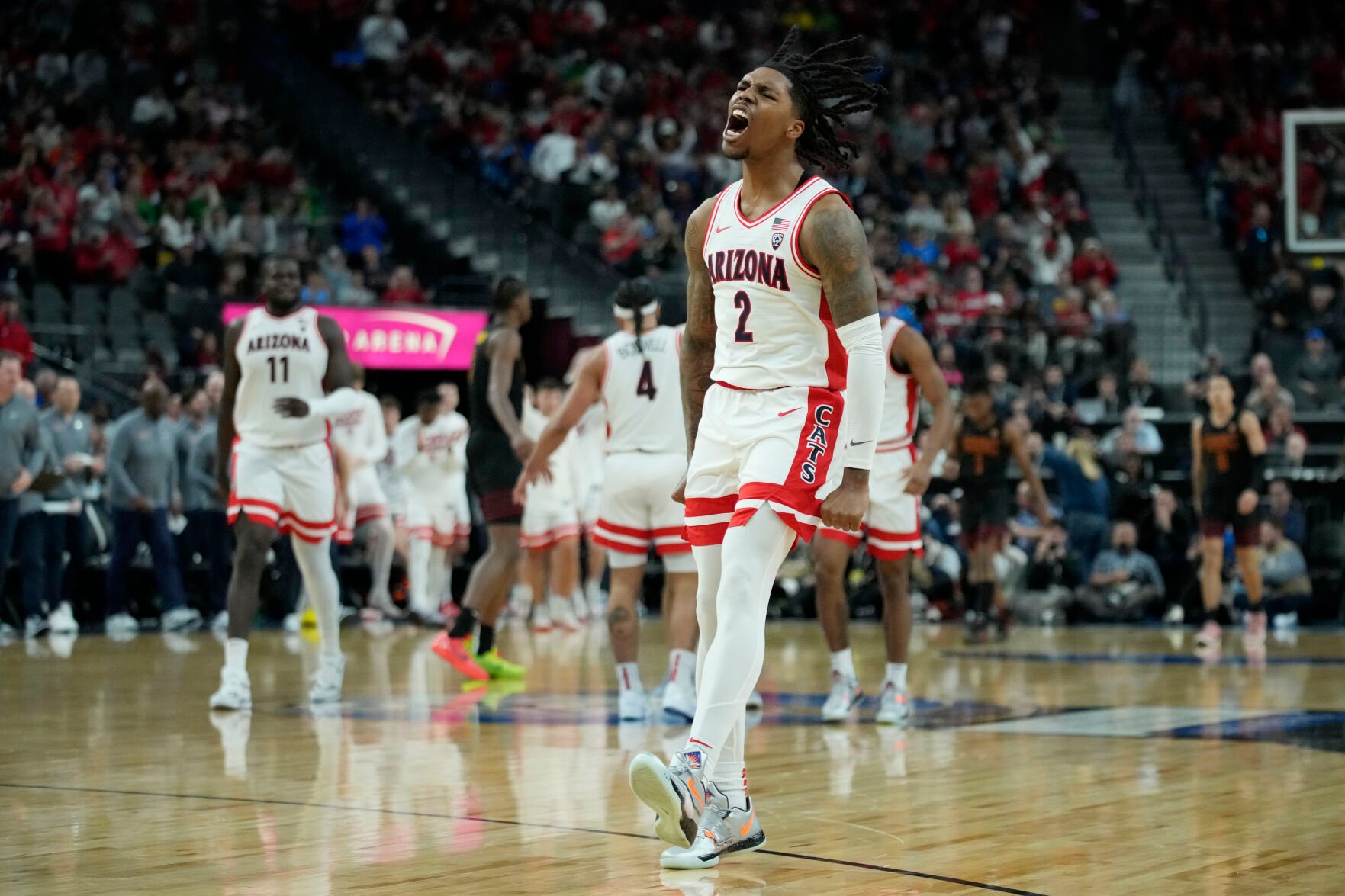 Uofa bball shop