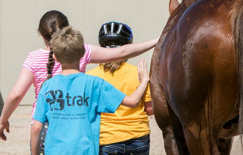 Therapeutic Ranch for Animals and Kids