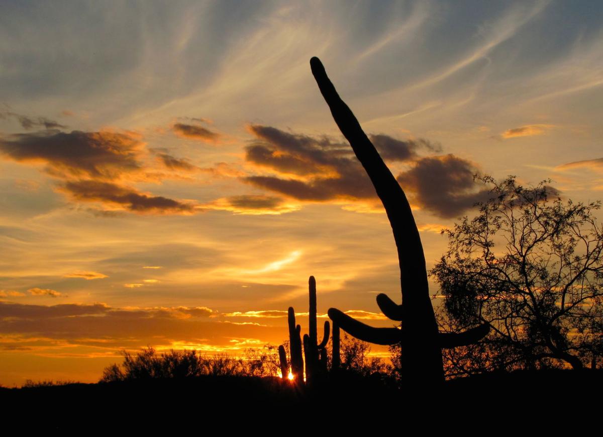 Sabino sunset