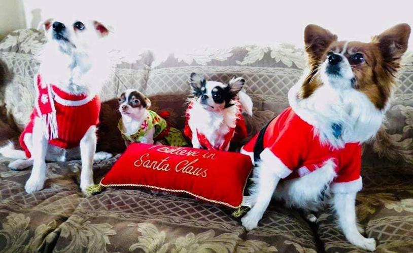 Annual Ugly Sweater Party at The Shelter Cocktail Lounge