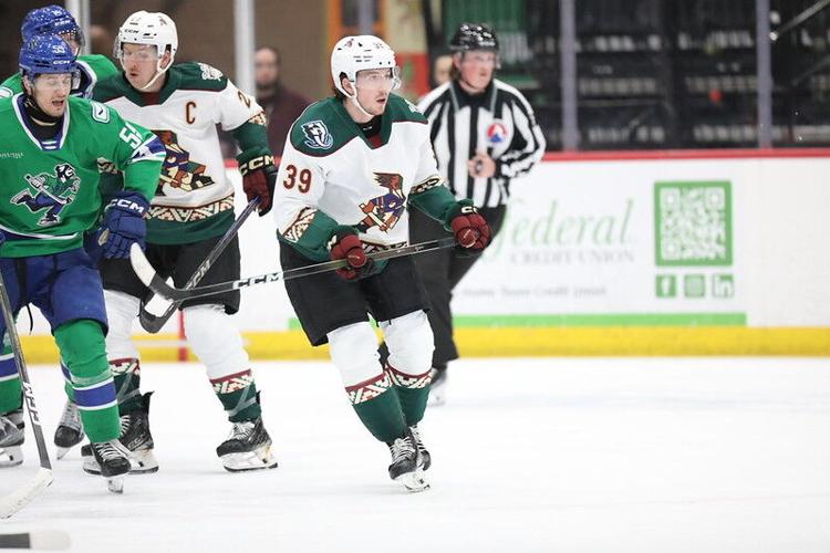 Tucson Roadrunners Cameron Hebig