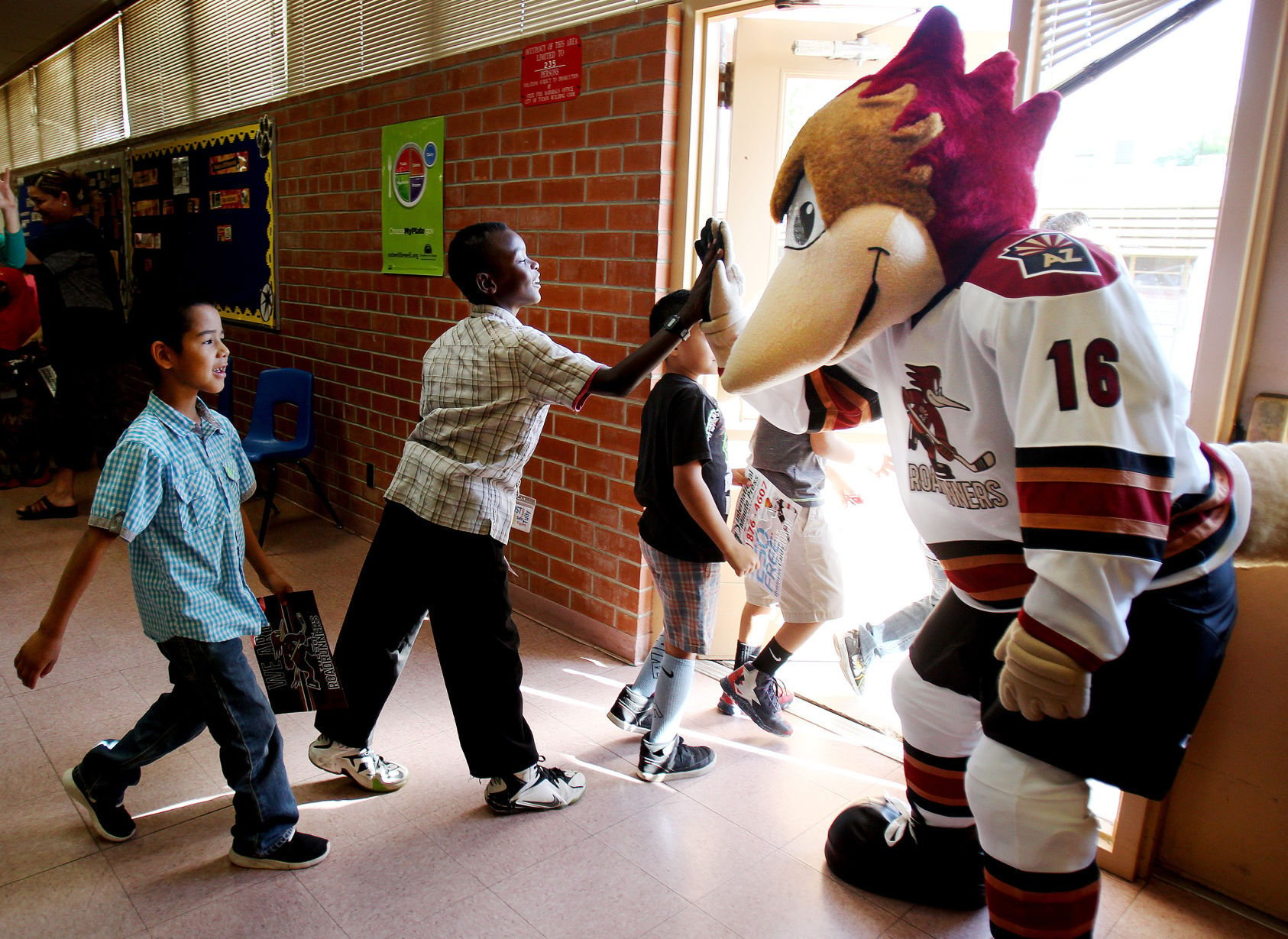 Hockey: Tucsonans Ready To Welcome 'newborn' Roadrunners To Town ...