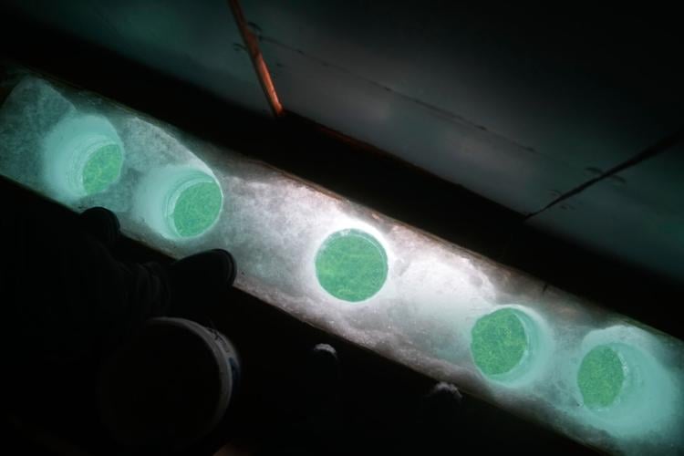 Climate Winter Weather Ice Deaths