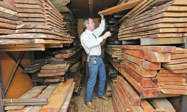 The wonder of wood  