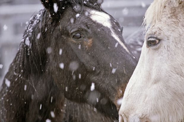 Snowfall around Tucson