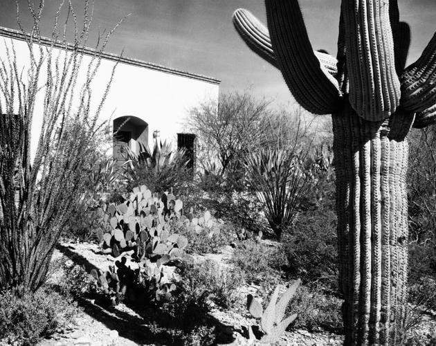 Harlow landscaping blueprints