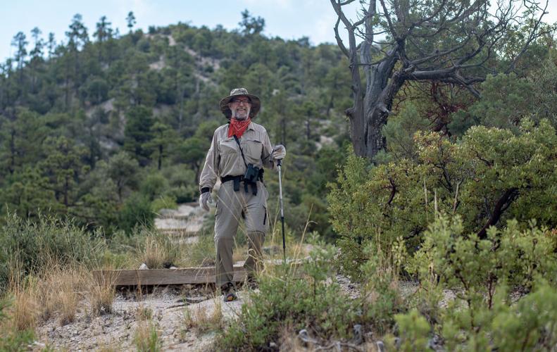 Santa Catalina Mountains, Bighorn Fire