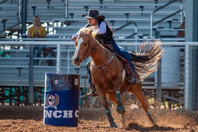 Arizona Wildcats rodeo